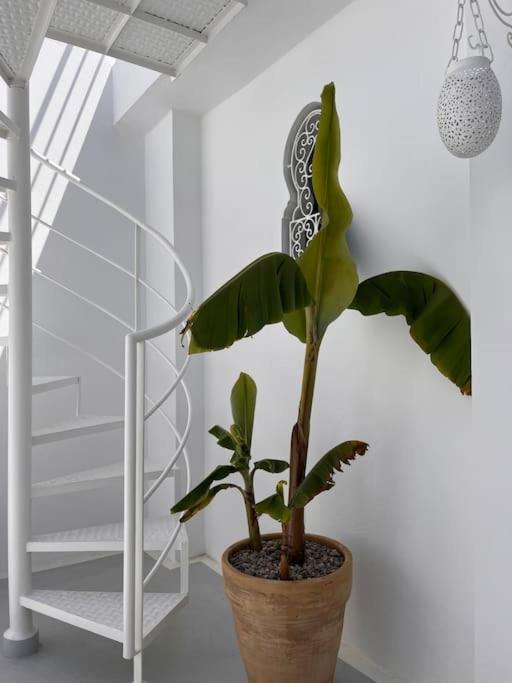 Casa Sira-Charming Home In The Heart Of The Kasbah Tangeri Esterno foto